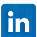 Icona LinkedIn